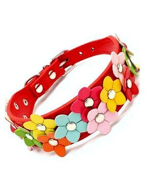 Della Terese Colorful Flowers on Rosy Red Dog Collar Extra Small Gift Packaged
